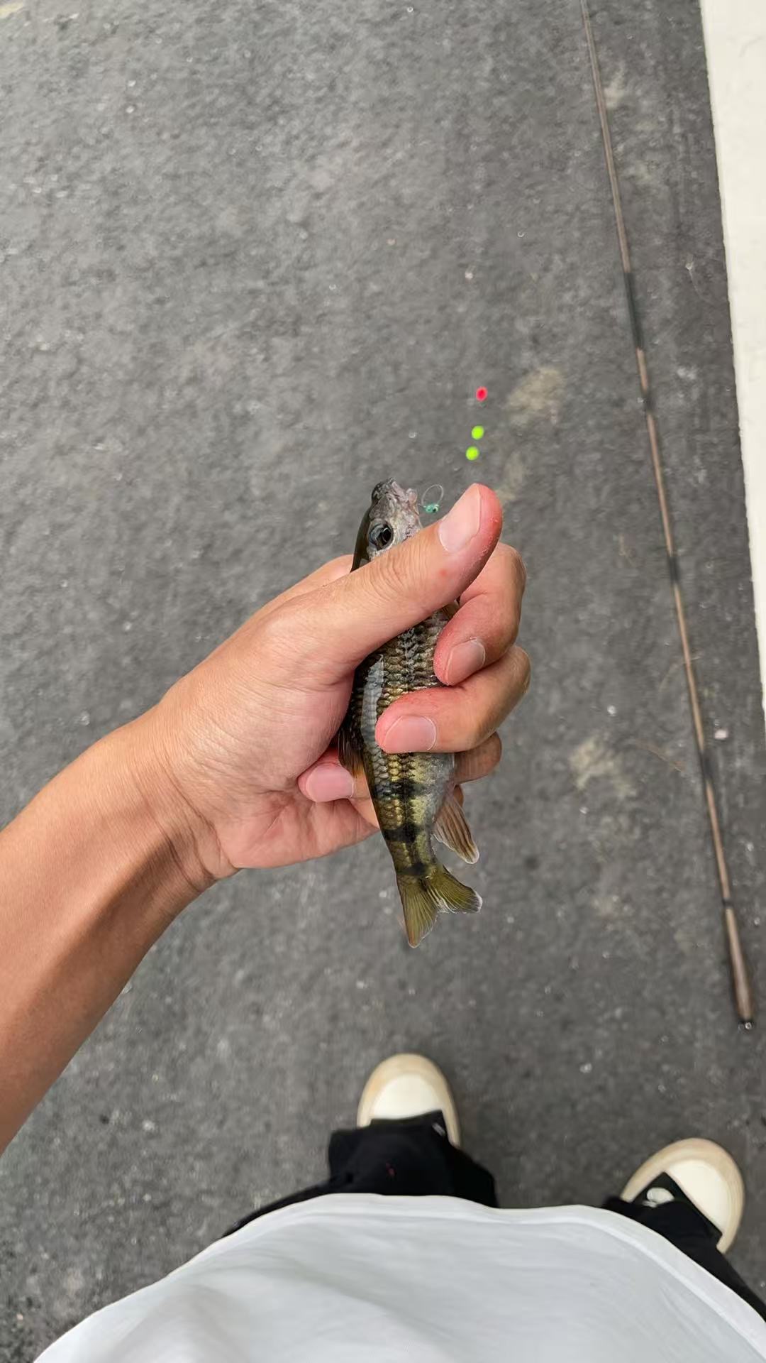 用户上传图片